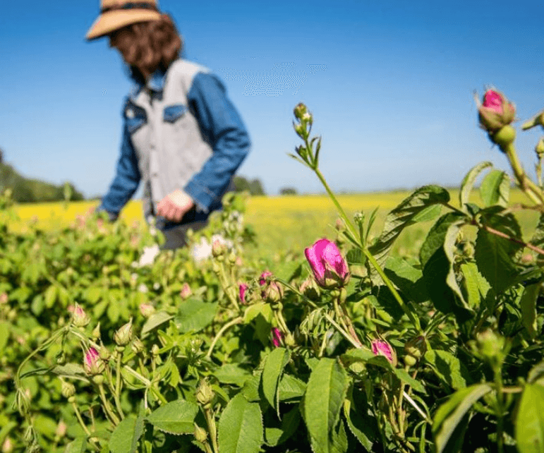 Screenshot at Feb 25 09-13-41.png