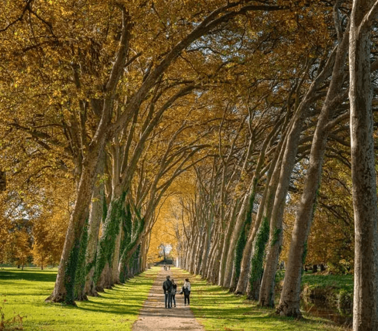 Screenshot at Feb 25 07-35-45.png