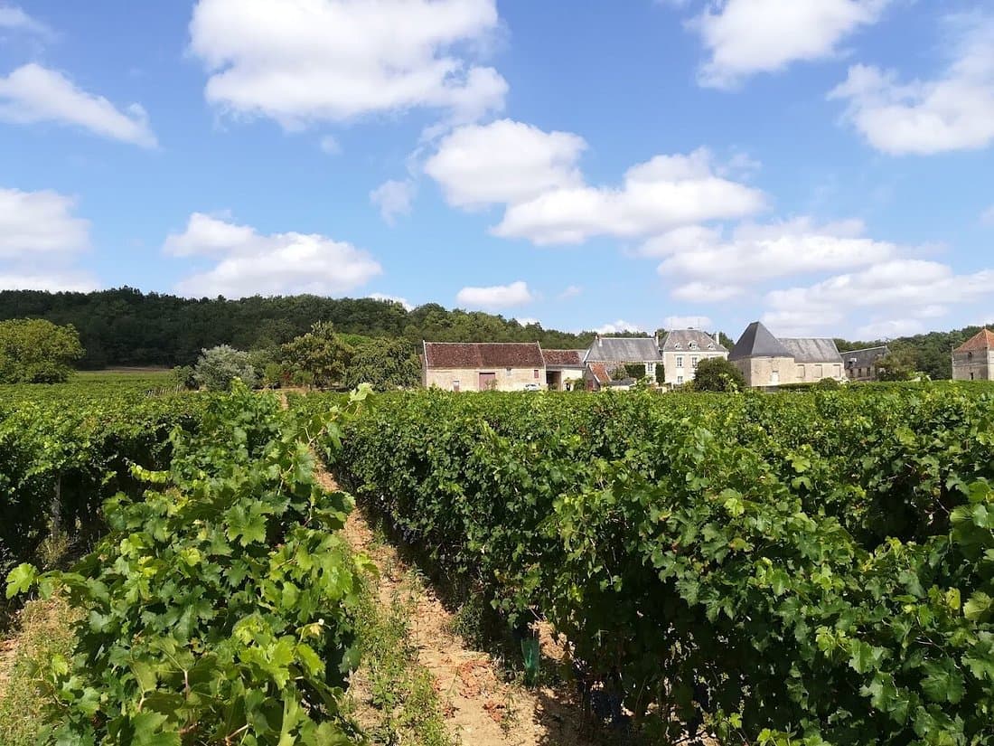 situe-sur-la-rive-droite.jpg